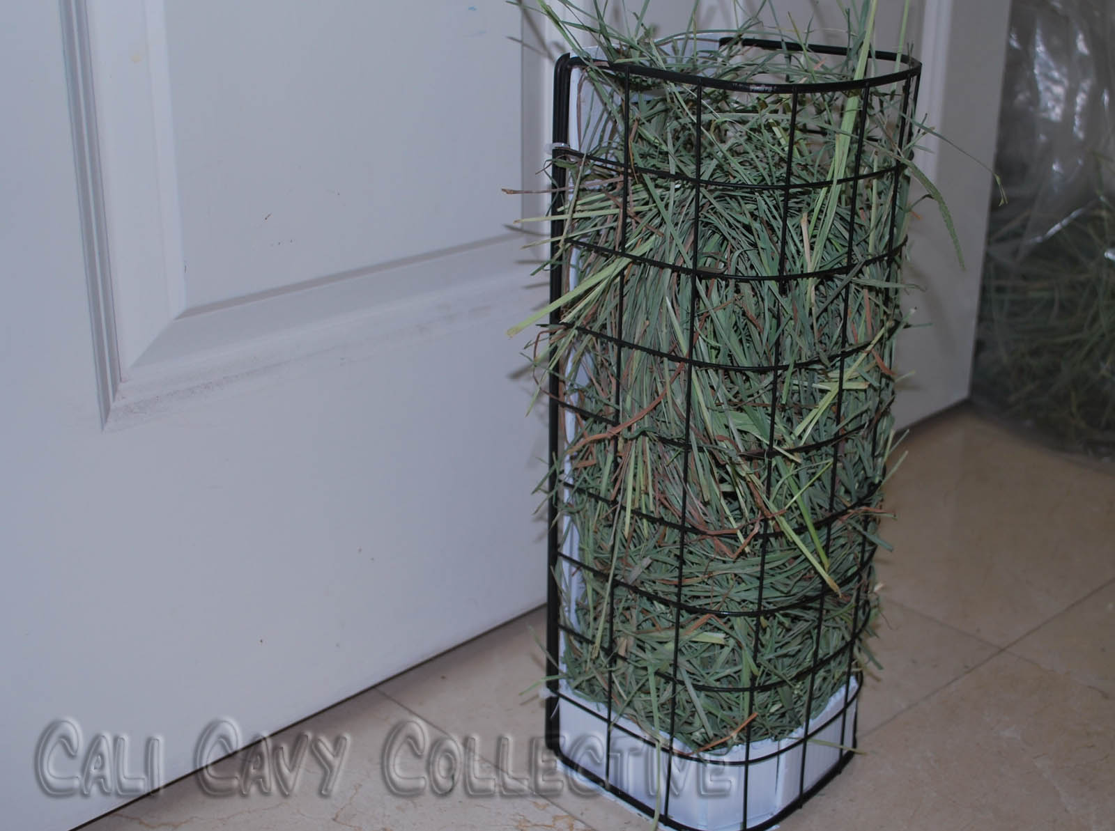 Undercover Guinea Pigs Hay Solutions Vertical hay rack