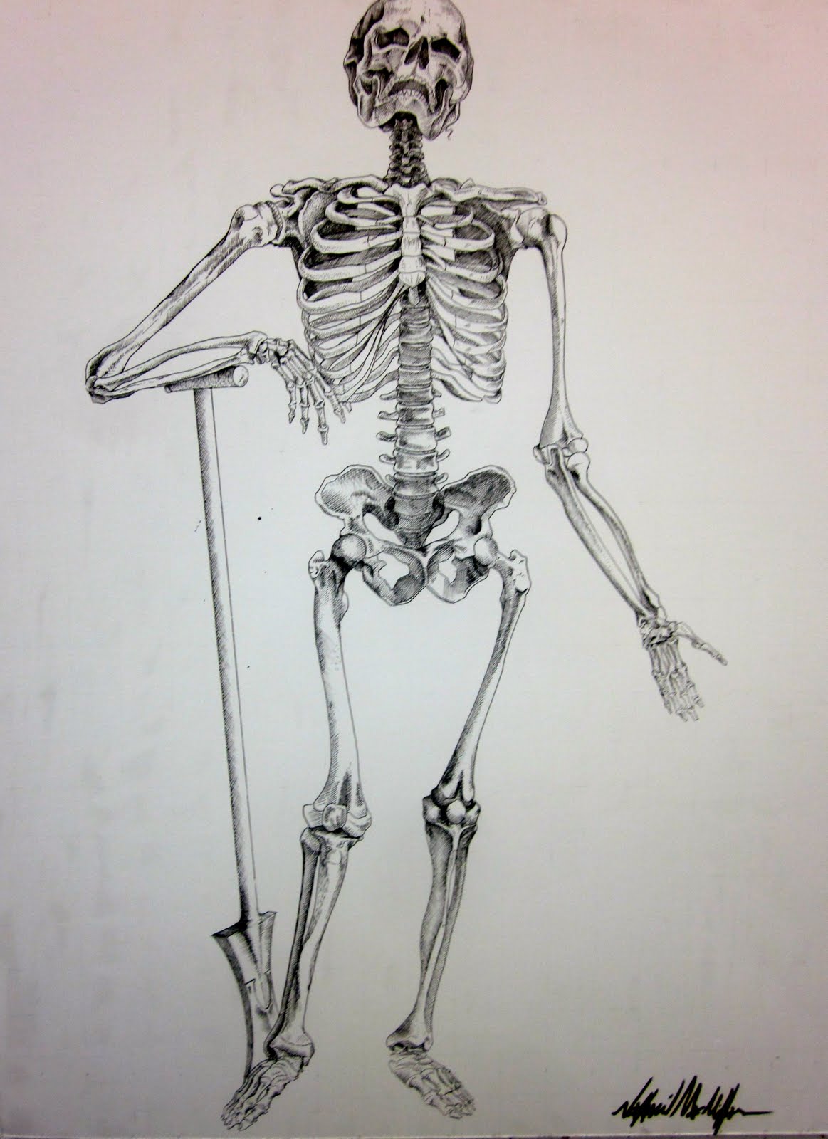 UCD Design Drawing Stars-2011-Winter Quarter: The Skeleton Drawings