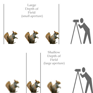 what is aperture setting on a camera what is aperture setting on a camera
