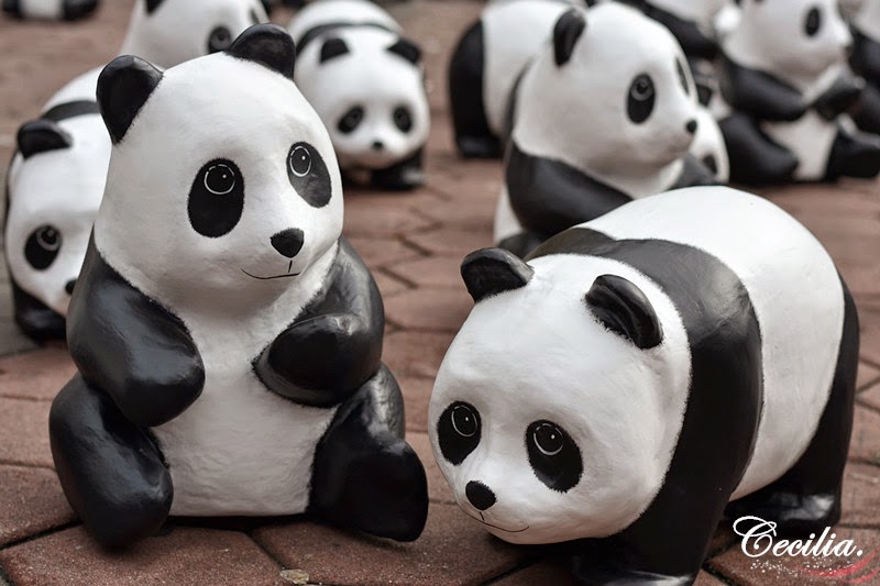 1600 Pandas World Tour in Malaysia @ Batu Caves ~ MISSCAWAII