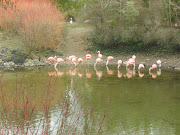 PARC FLORALOrléanslaSource (imgp )