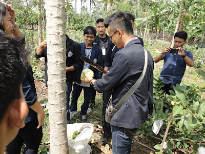 Kunjungan Mahasiswa PKPM Darmajaya Ke Kebun Jambu