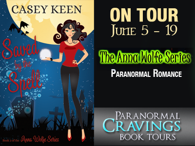 Blog Tour ~ The Anna Wolfe Series by Casey Keen ~ Promo!