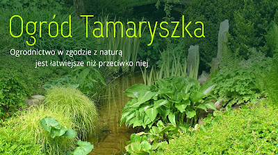 Ogród Tamaryszka
