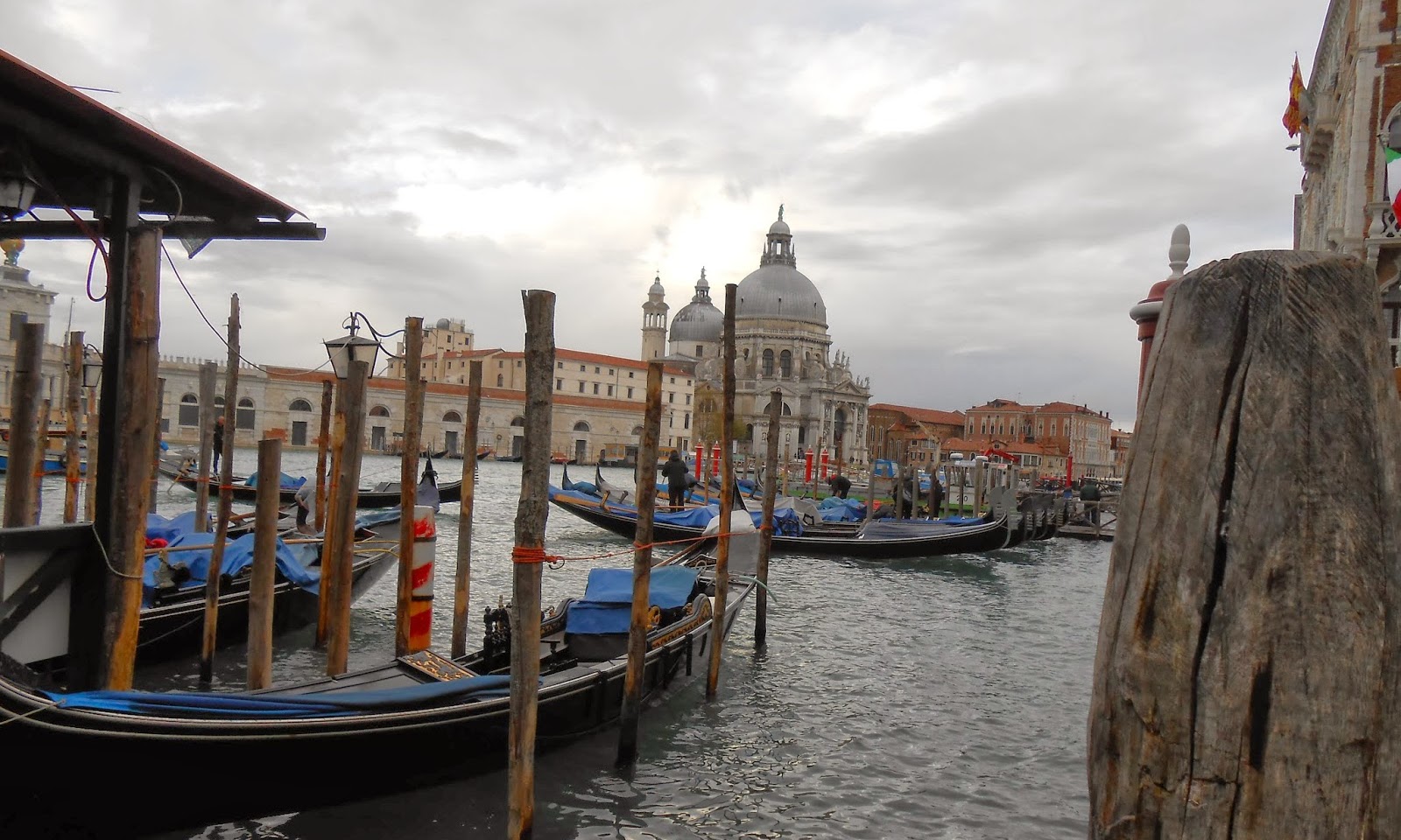 A Venetian Thanksgiving: My journal of the Festa della Salute