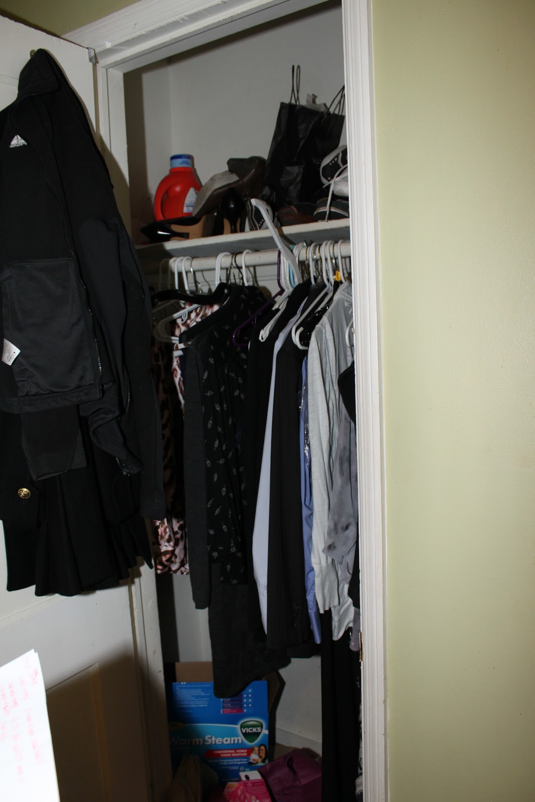 HOUSEography Doorways Safehouse Elfa Closet Systems (Thank you