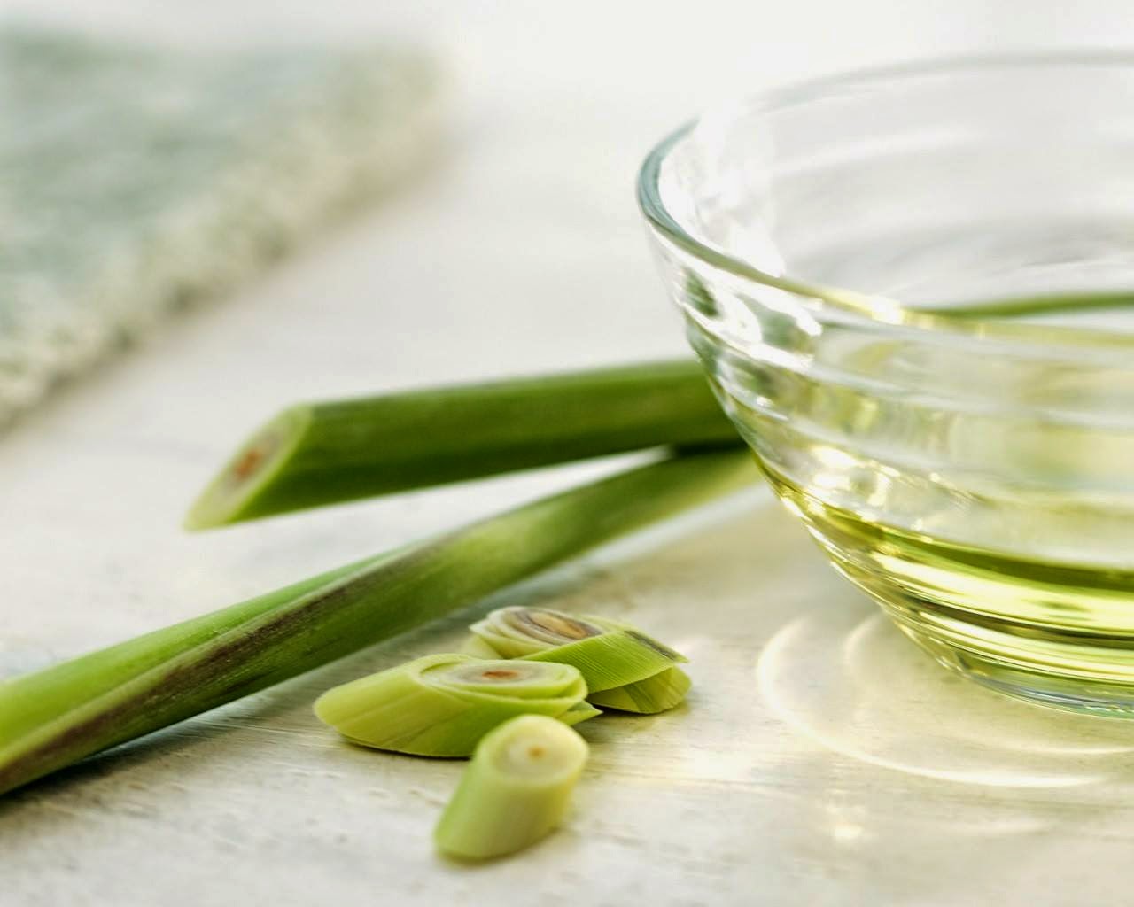 Spark Naturals Blog RESEARCH Lemongrass essential oil