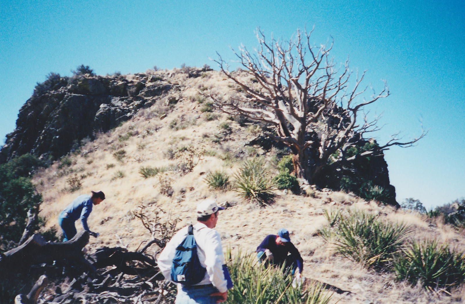 Southern New Mexico Explorer Organ Needle Organ MountainsDesert