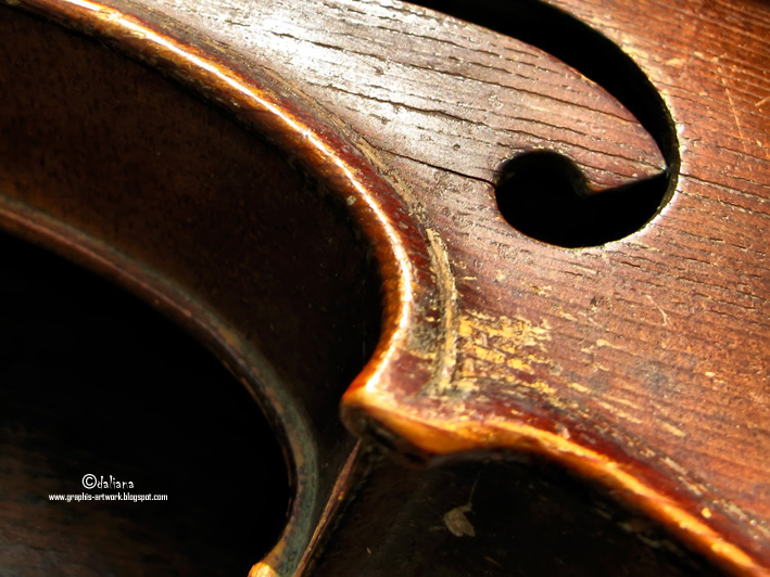 Photographis Autumn, Violins and Bach