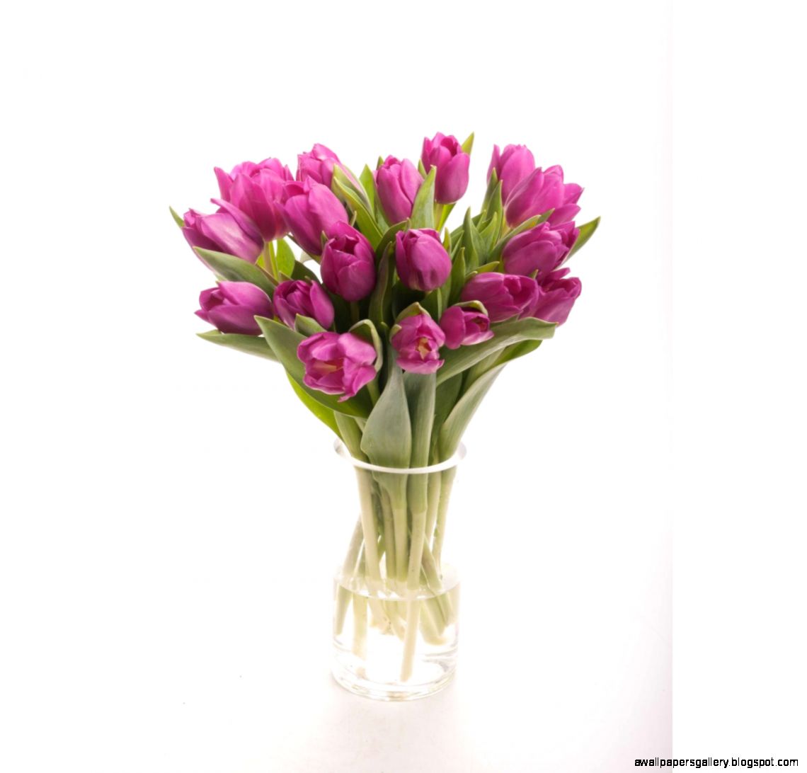 Purple Tulip Bouquet Tulip Bouquets Gifts Flower Muse Purple Tulip Bouquet Tulip Bouquets Gifts Flower Muse