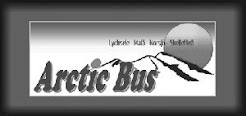 Arctic bus