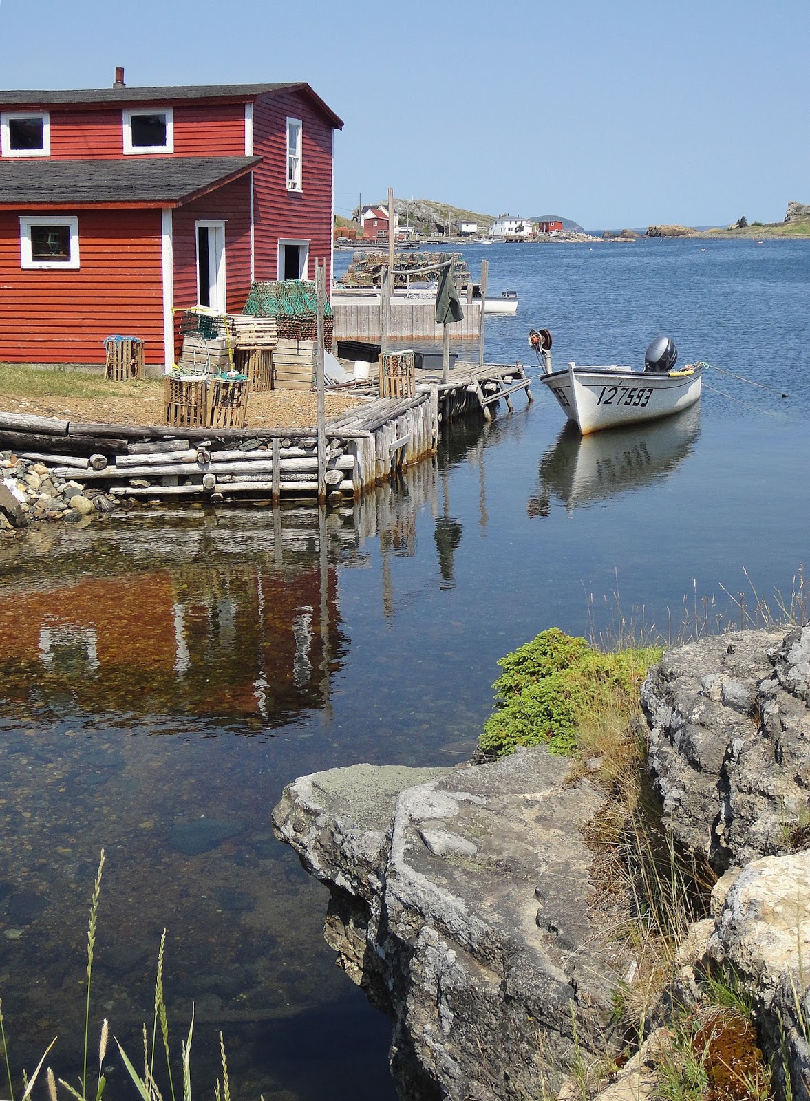 Onions and Absinthe Windswept Coastlines