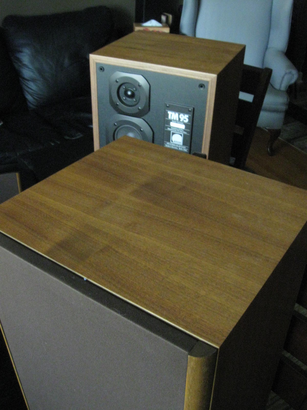 Audioless Winnipeg Group! Acrus TM95 Speakers