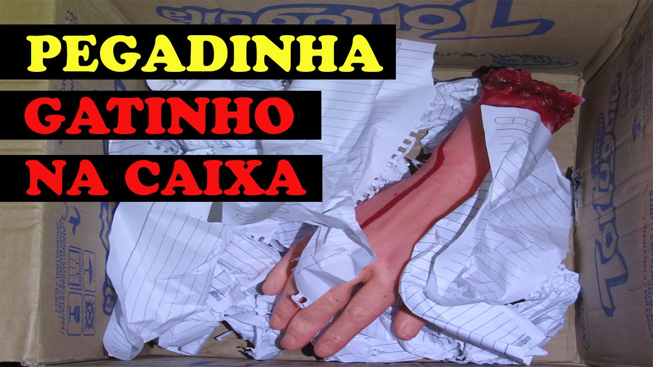 PEGADINHA GATINHO NA CAIXA