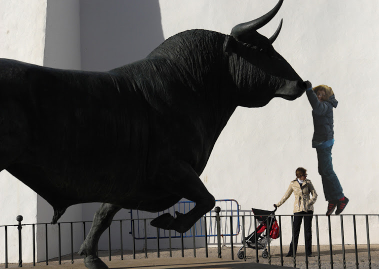 12. Otto pets a bull