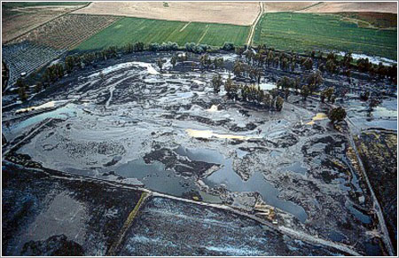 Quince años despues ~ CON GANAS DE CAMPO