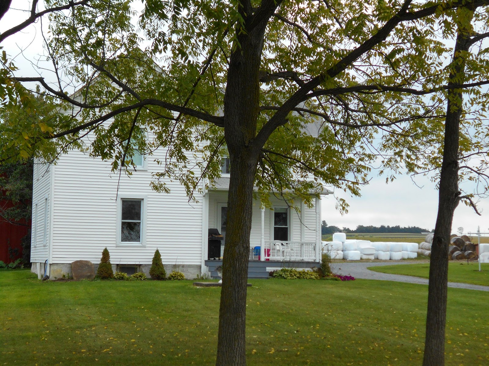 New York State of Mind MENNONITE FARM AND NORTHERN EDGE LUMBER