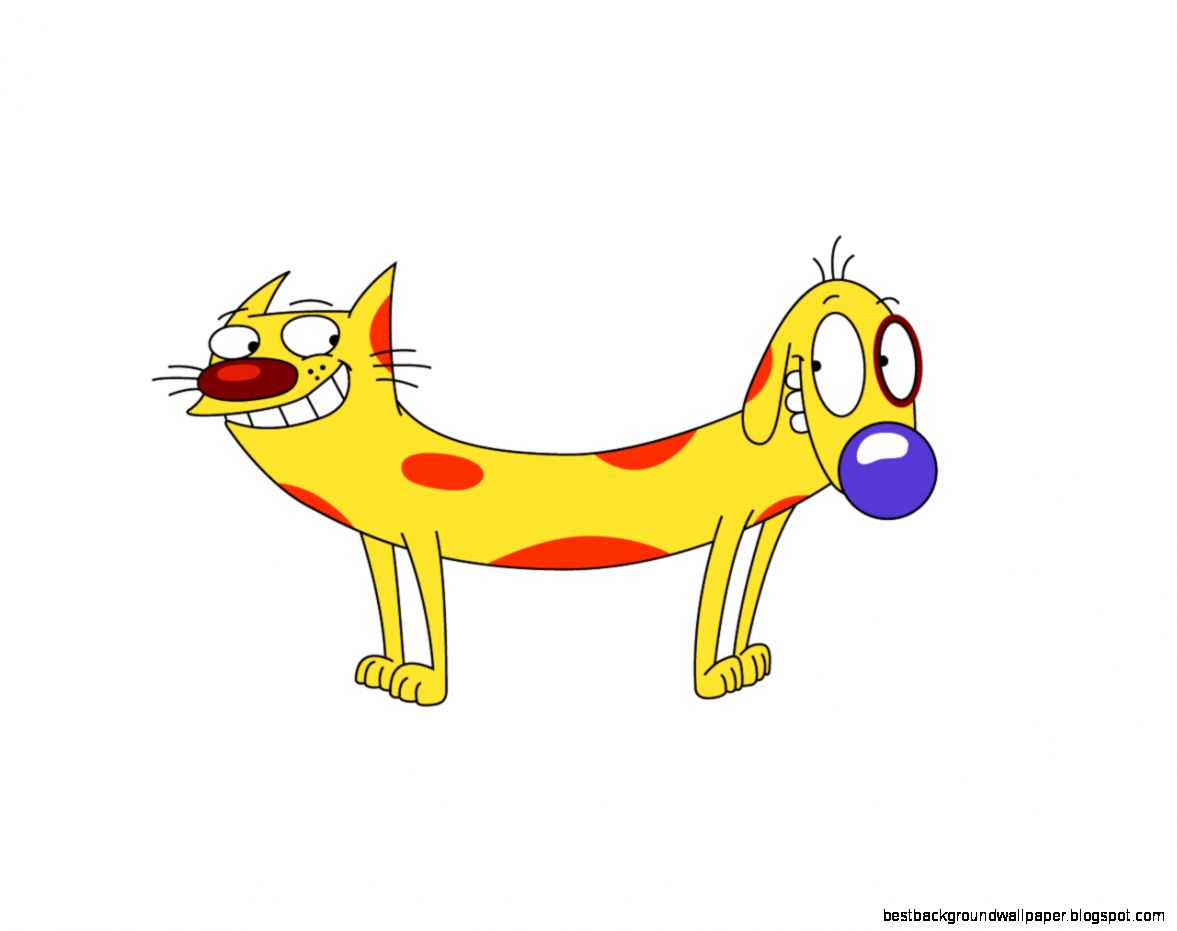 Meet Dog Cat  pics Meet Dog Cat  pics