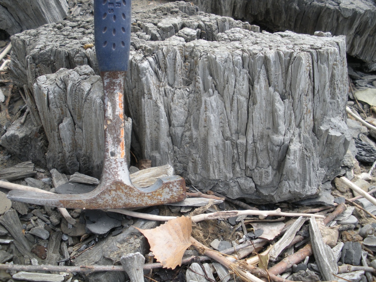 CSMS GEOLOGY POST KANSAS FIELD TRIPS HALITE AND CONEINCONE