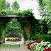 Garden Magic In Your Backyard! - Free Kindle Non-Fiction