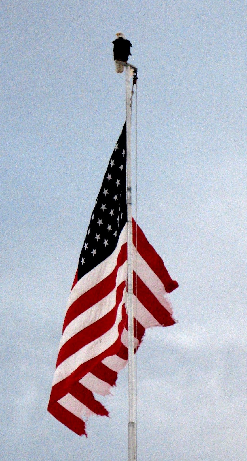 Van Stein The American Flag March 25, 2012