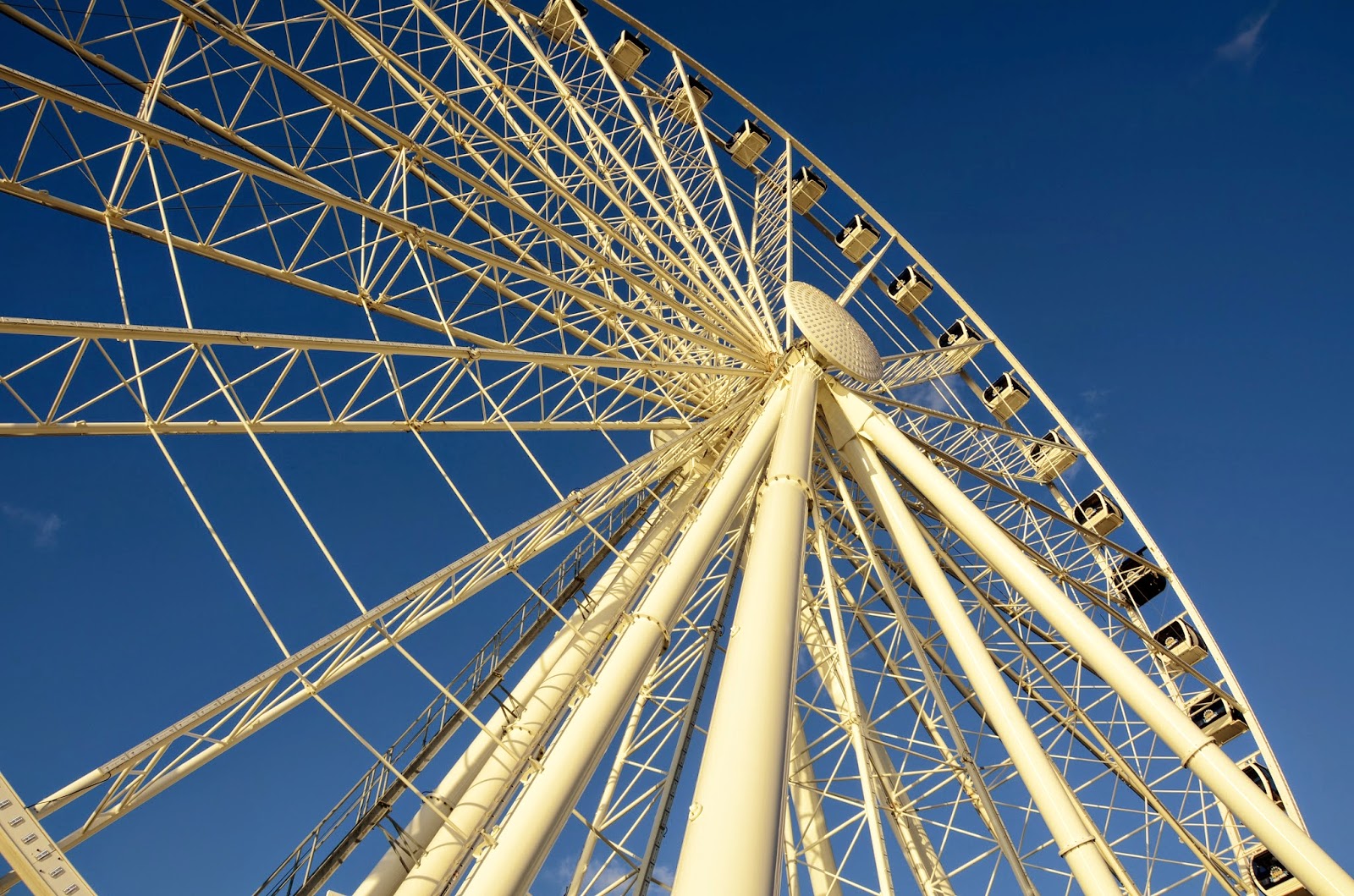 Unlimited Net Worth Was Seattle S Great Wheel A Great Investment Or A Colossal Blunder