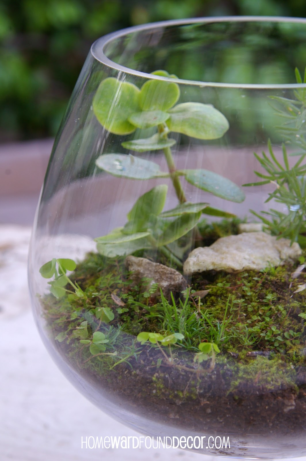How to Make a FREE Moss Terrarium homewardFOUND decor