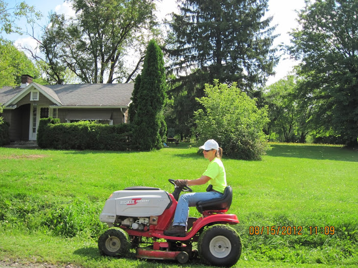 BLV clerk Ethel Nemeth's daughter mowing the front yard of BLV councilman Ted Holland .