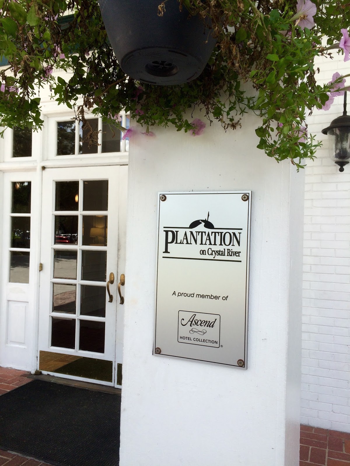 The Dizzy Traveler with Arthur Wooten Plantation At Crystal River