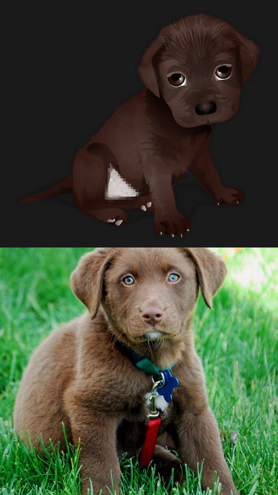 Stardoll Blog Dogs look like in real life and cartoon
