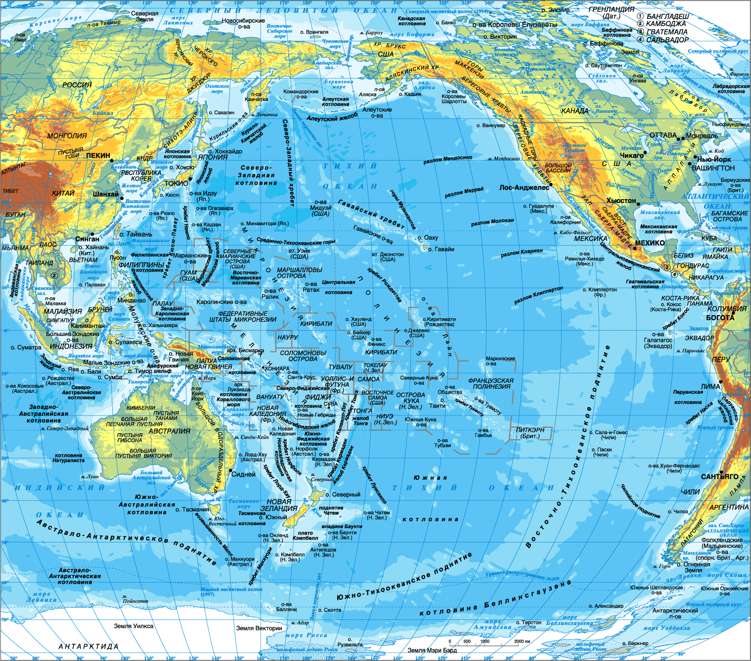 Реферат: Аргонавты западной части Тихого океана