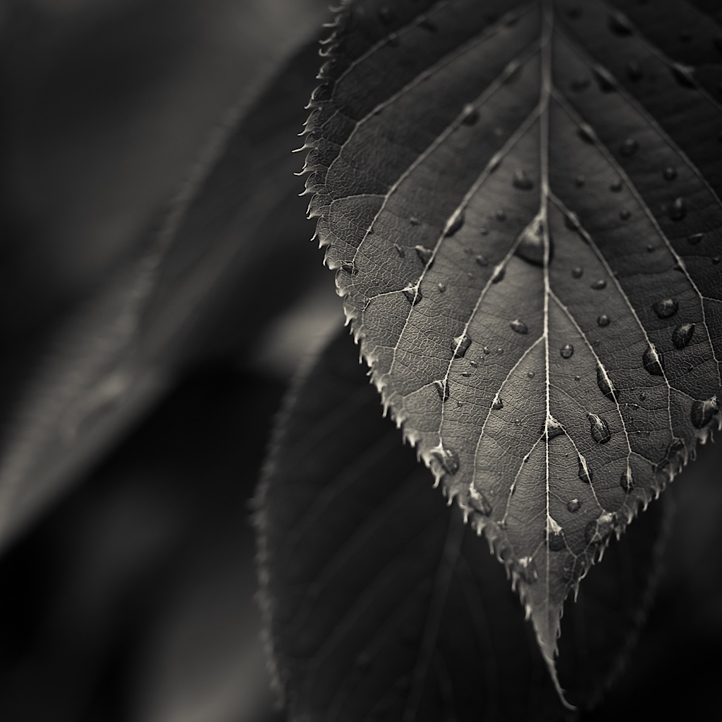 photography lightroom photography lightroom