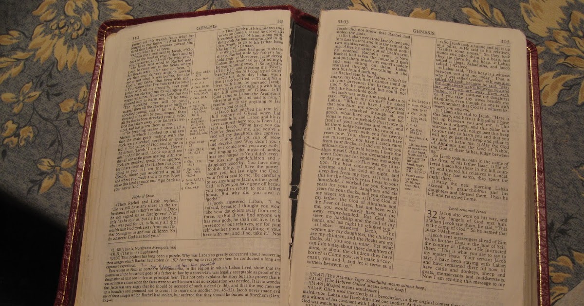 Beer Lahai Roi Translation Transition