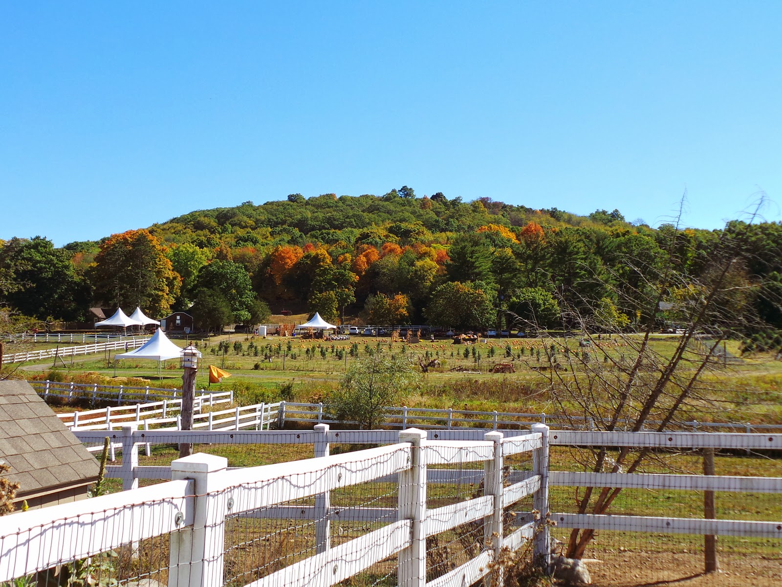 New Jersey and You Perfect Together, Liberty and