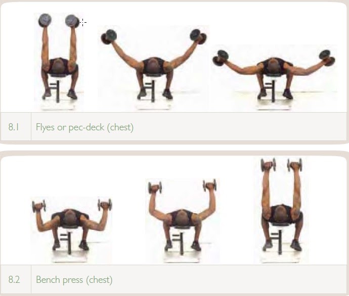 Basic Weight training Workout for boxing