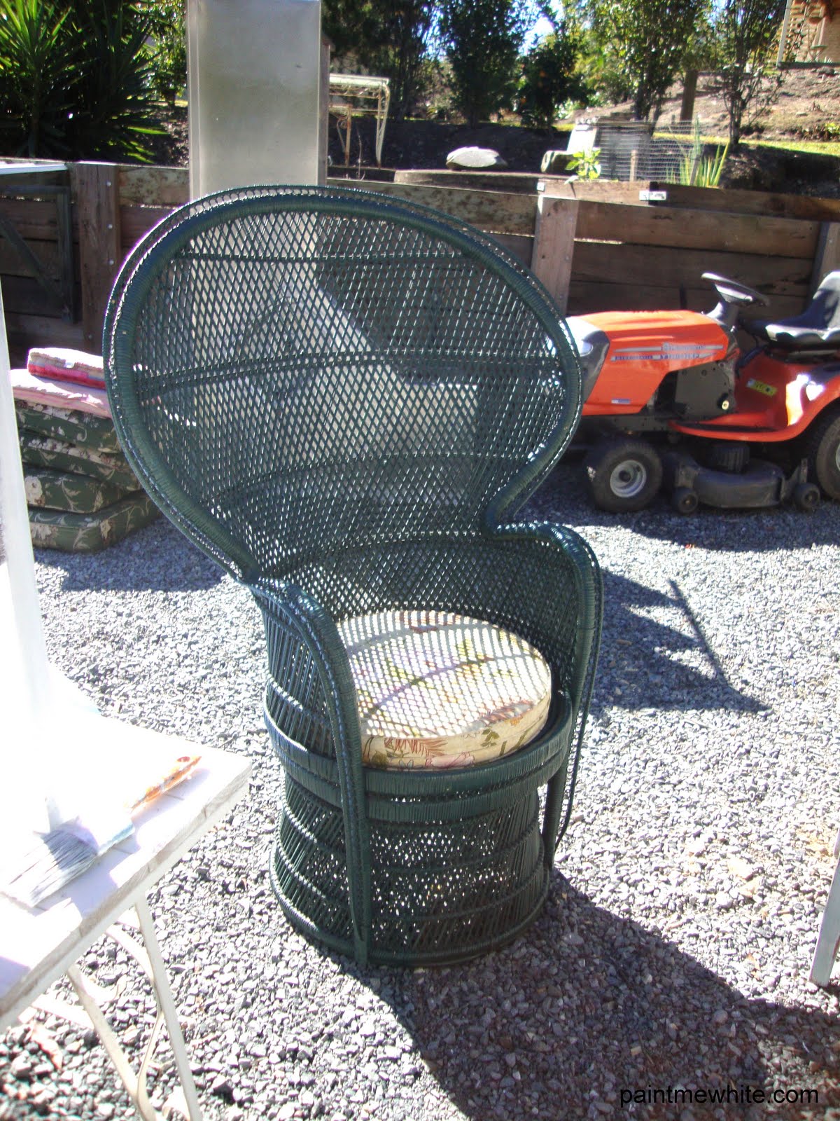Cane Peacock Chair Paint Me White