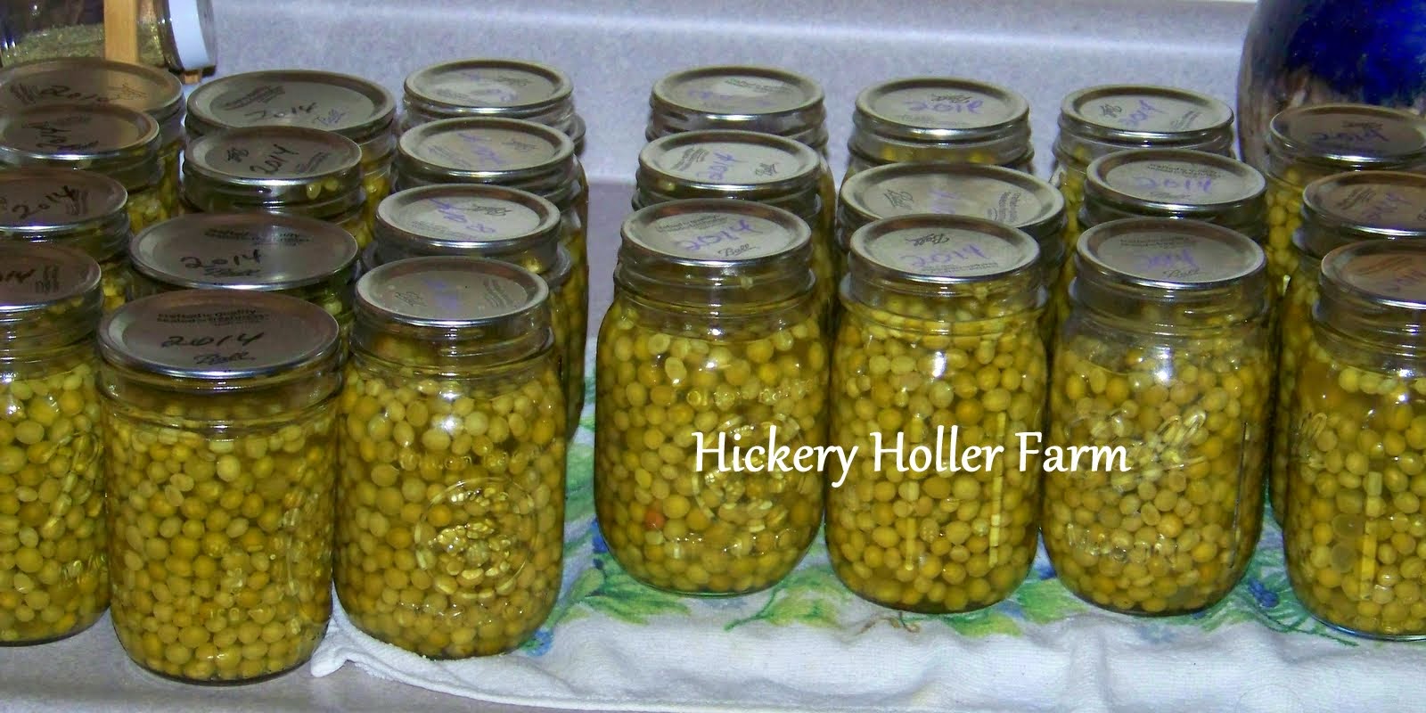 Hickery Holler Farm Canning Green Peas