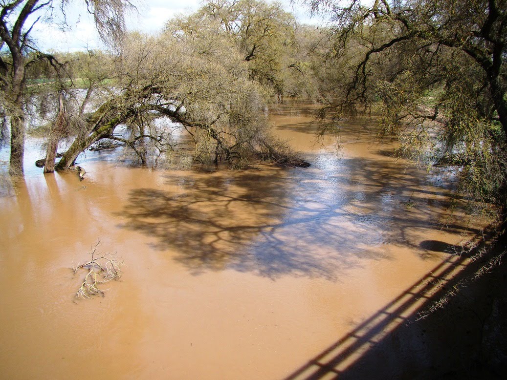 Geotripper What Does An Urban Small Stream Flood Advisory Flood Look Like?