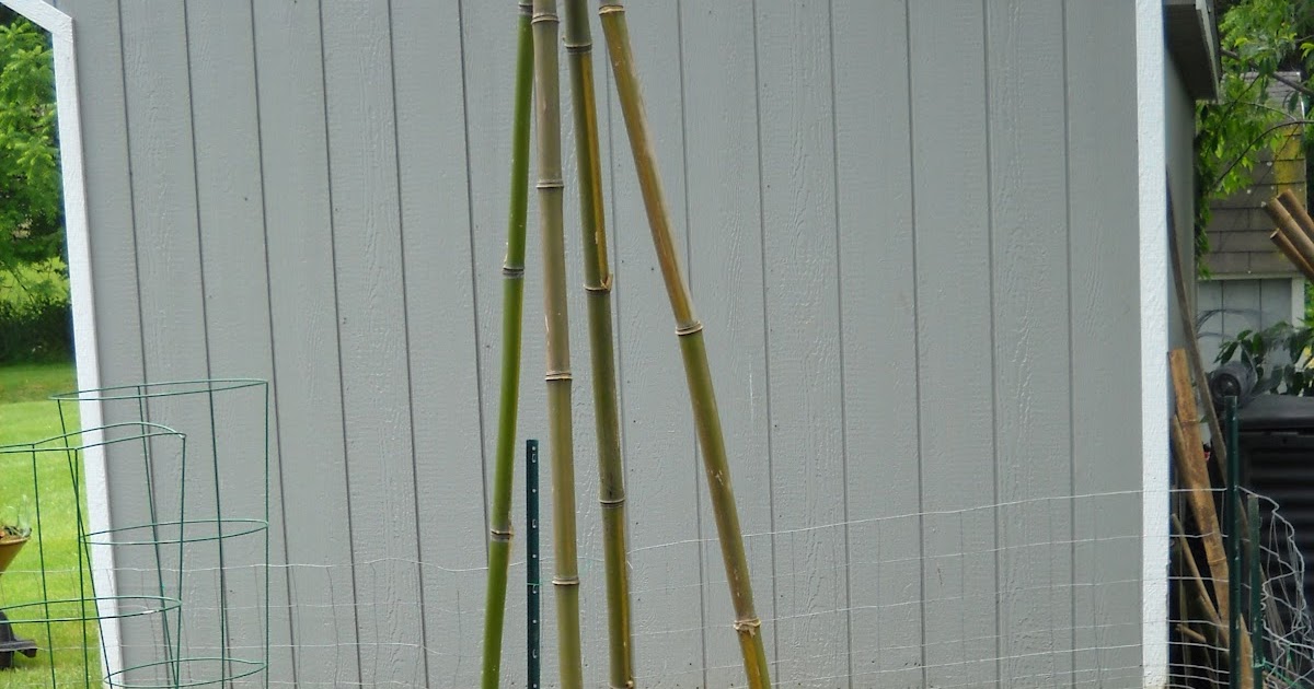 A Diva's Garden Building A TeePee Trellis for Kids