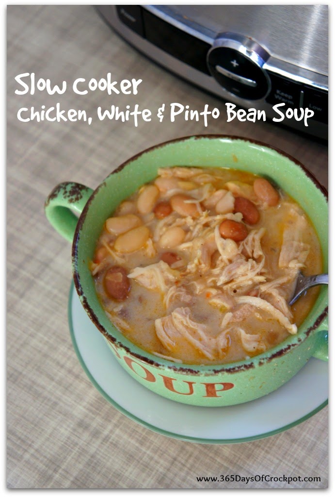 365 Days of Slow Cooking Slow Cooker Chicken, White Bean and Pinto Bean Soup