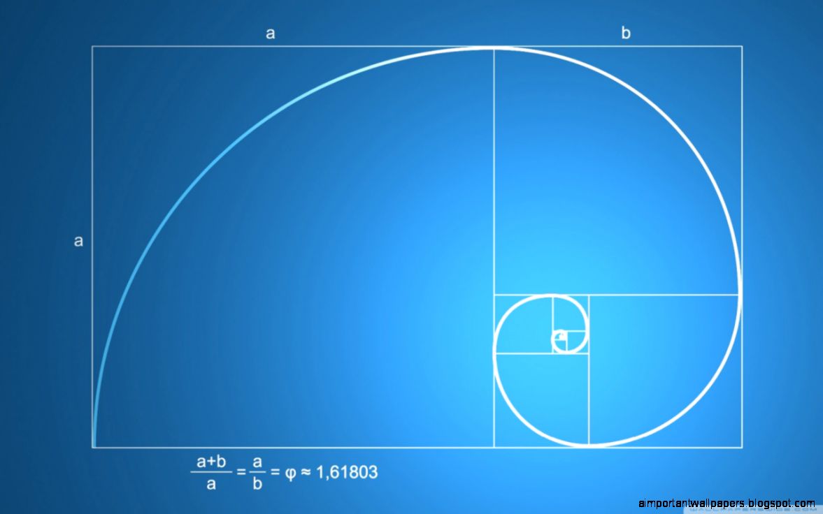 Snail Shell Spiral HD desktop wallpaper Widescreen High Snail Shell Spiral HD desktop wallpaper Widescreen High