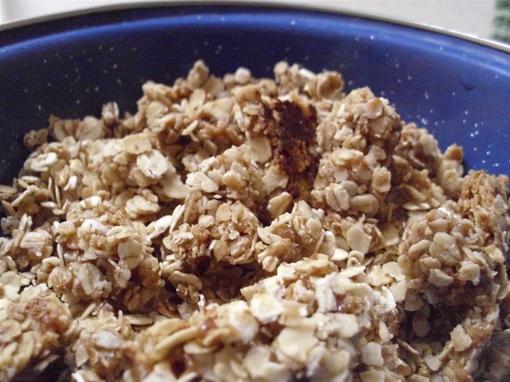 The DoItYourself Mom DIY Cinnamon Brown Sugar Granola