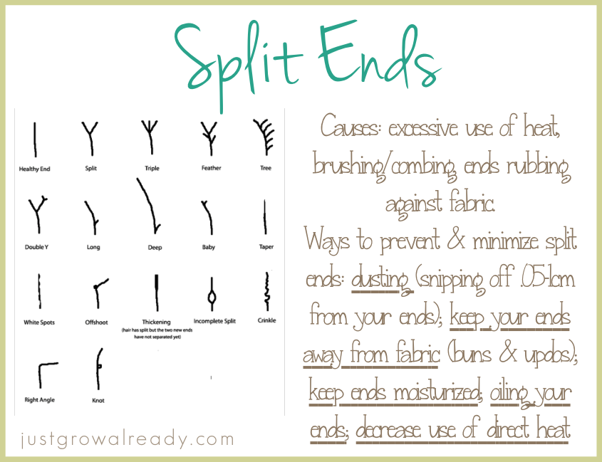 Split Ender Review Natural Hair Split Ender Review Natural Hair