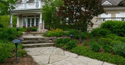 LandZine: Easy front yard landscaping