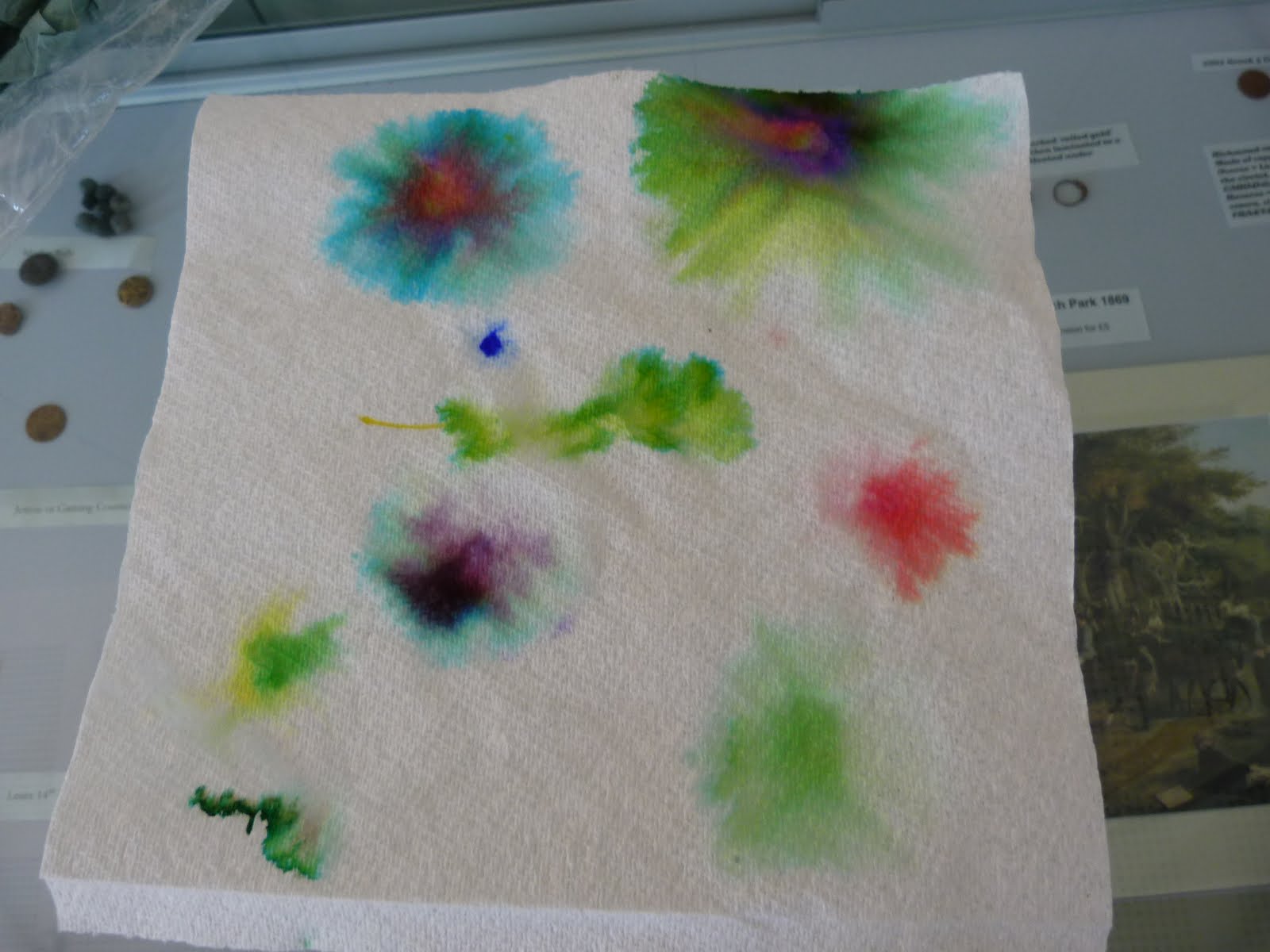 An Ordinary Life Paper Chromatography Experiment