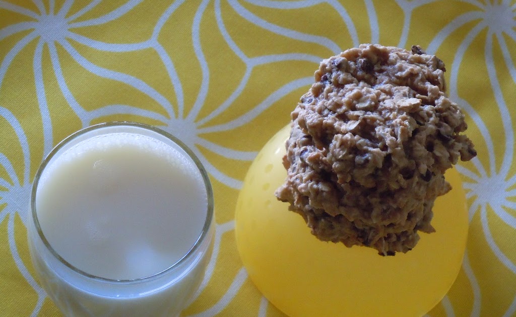 Won in the Oven Chewy Low Fat Banana Chocolate Chip Cookies