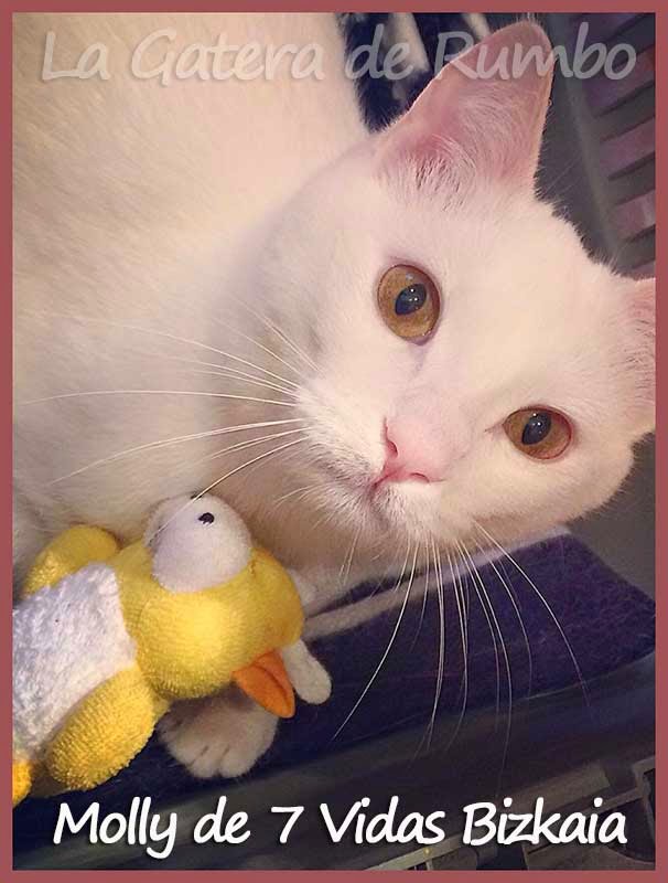 Feliz con su muñequito... Molly 7 vidas