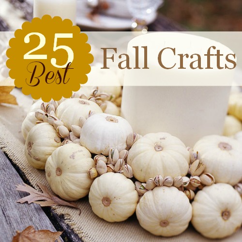 Amy's Daily Dose: 25 DIY Fall Crafts