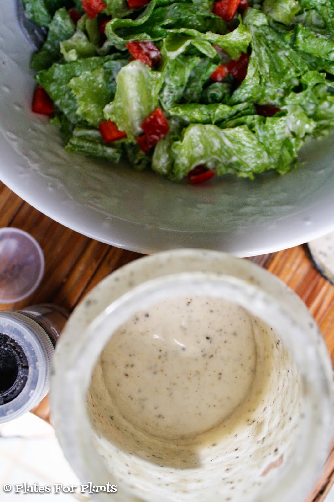 Plates for Plants NutFree Caesar Salad Dressing