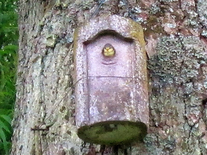 Wien Uber 120 Tolle Ausflugsziele In Und Um Die Hauptstadt Die